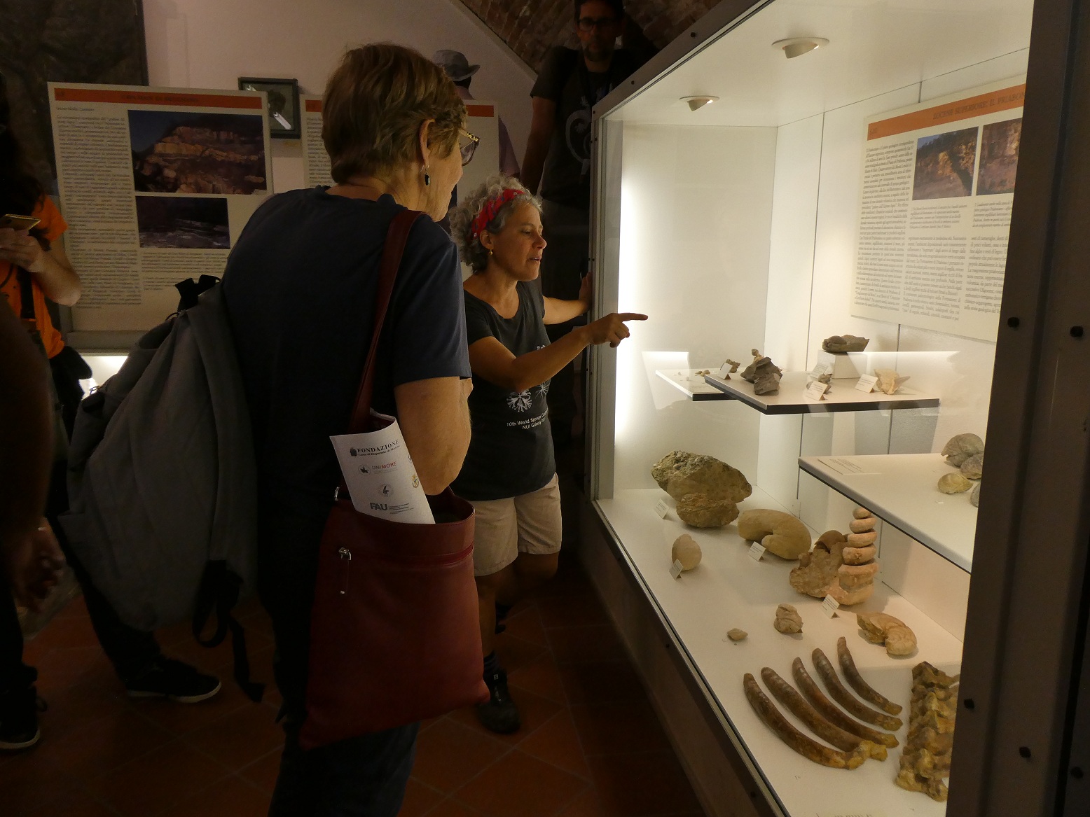 Studiare i coralli fossili al Museo Zannato di Montecchio Maggiore per capire la risposta della biosfera ai cambiamenti globali - vicenzapiu.com